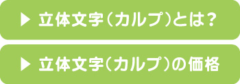 立体文字(カルプ)とは？