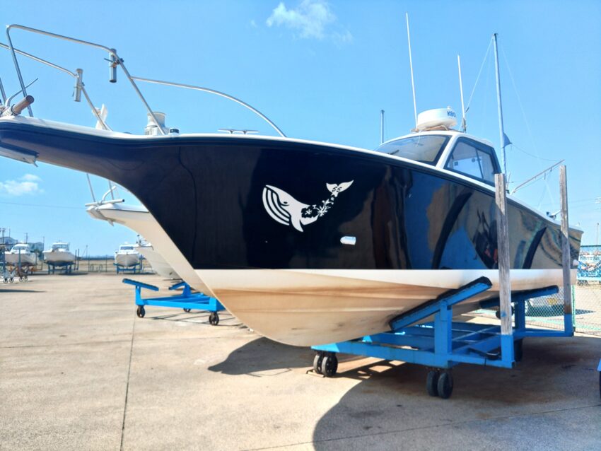 船体にクジラのカッティングシートを貼り付け
